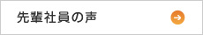 先輩社員の声
